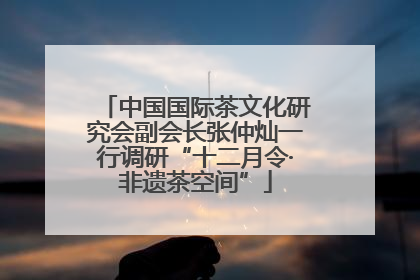 中国国际茶文化研究会副会长张仲灿一行调研“十二月令·非遗茶空间”